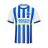 Günstige Fußball Trikotsatz Brighton Hove Albion Herren Heimtrikot 2024-2025 Kurzarm