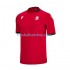Günstige Fußball Trikotsatz Georgia Herren Ausweichtrikot Euro 2024 Kurzarm