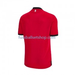 Günstige Fußball Trikotsatz Georgia Herren Ausweichtrikot Euro 2024 Kurzarm