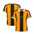Günstige Fußball Trikotsatz Hull City Herren Heimtrikot 2026-2027 Kurzarm