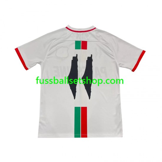 Günstige Fußball Trikotsatz Club Deportivo Palestino Center Stripre Herren Auswärtstrikot 2024-2025 Kurzarm