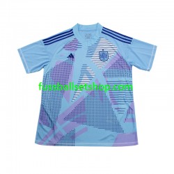 Günstige Fußball Trikotsatz Spanien Torwart Herren Auswärtstrikot Euro 2024 Kurzarm