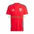 Günstige Fußball Trikotsatz Wales Herren Heimtrikot 2024 Kurzarm
