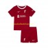 Günstige Fußball Trikotsatz Liverpool Kinder Heimtrikot 2023-2024 Kurzarm