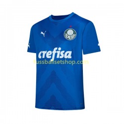 Günstige Fußball Trikotsatz Palmeiras Torwart Herren Heimtrikot 2023-2024 Kurzarm