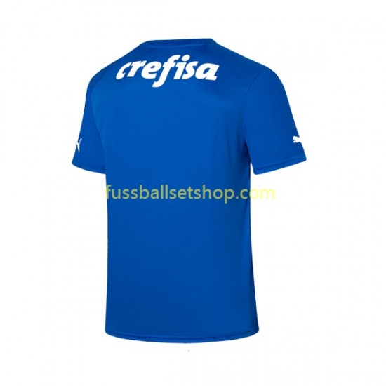Günstige Fußball Trikotsatz Palmeiras Torwart Herren Heimtrikot 2023-2024 Kurzarm