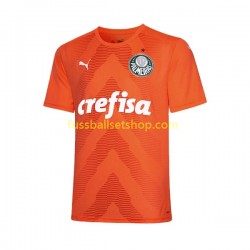 Günstige Fußball Trikotsatz Palmeiras Torwart Herren Ausweichtrikot 2022-2023 Kurzarm