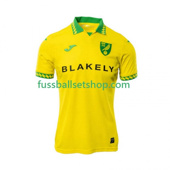 Günstige Fußball Trikotsatz Norwich City Herren Heimtrikot 2025-2026 Kurzarm