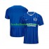 Günstige Fußball Trikotsatz Brighton Hove Albion Herren Heimtrikot 2026-2027 Kurzarm