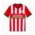 Günstige Fußball Trikotsatz PSV Eindhoven Herren Heimtrikot 2026-2027 Kurzarm