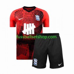 Günstige Fußball Trikotsatz Birmingham City Kinder Auswärtstrikot 2023-2024 Kurzarm