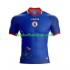 Günstige Fußball Trikotsatz Haiti Herren Heimtrikot World Cup 2026 Kurzarm