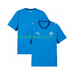 Günstige Fußball Trikotsatz Island Herren Heimtrikot 2026 Kurzarm