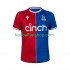 Günstige Fußball Trikotsatz Crystal Palace Herren Heimtrikot 2023-2024 Kurzarm