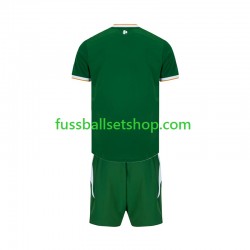 Günstige Fußball Trikotsatz Irland Kinder Heimtrikot 2026 Kurzarm