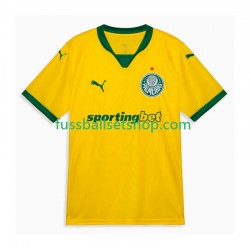 Günstige Fußball Trikotsatz Palmeiras Herren Ausweichtrikot 2025-2026 Kurzarm