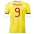 Günstige Fußball Trikotsatz Kolumbien Falcao 9 Heimtrikot 2020-2021 Kurzarm