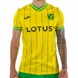 Günstige Fußball Trikotsatz Norwich City Herren Heimtrikot 2022-2023 Kurzarm