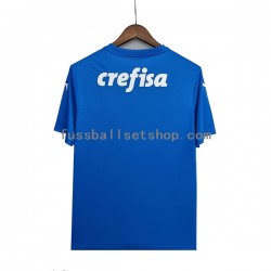 Günstige Fußball Trikotsatz Palmeiras Torwart Herren Auswärtstrikot 2022-2023 Kurzarm