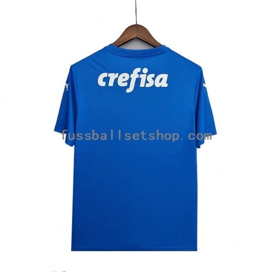 Günstige Fußball Trikotsatz Palmeiras Torwart Herren Auswärtstrikot 2022-2023 Kurzarm
