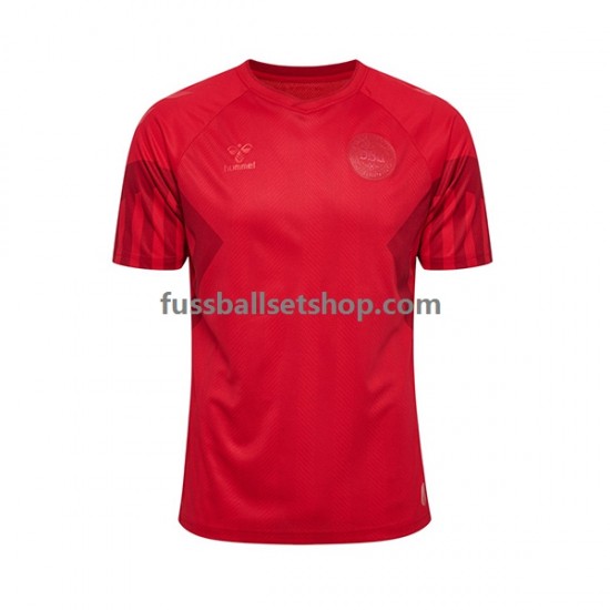 Günstige Fußball Trikotsatz Dänemark Herren Heimtrikot World Cup 2022 Kurzarm