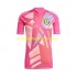 Günstige Fußball Trikotsatz Schottland Torwart Herren Ausweichtrikot Euro 2024 Kurzarm